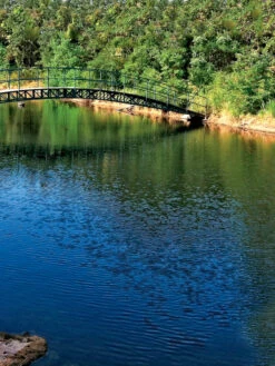 Aquasphere Pond Cleaners -Outdoor Zone 37425 001ed 1