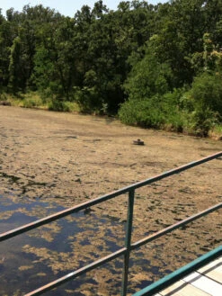 Blast, 2,500 Gallon, 5 Packets -Outdoor Zone 37425 001v 1 1