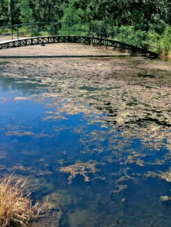 Aquasphere Pond Cleaners -Outdoor Zone 37425 002ed 1