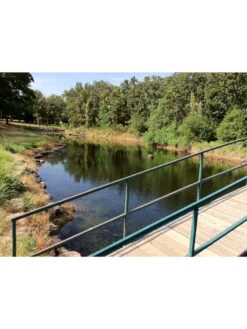 Blast, 125,000 Gallon, 12 Packets -Outdoor Zone 37425 002v 1