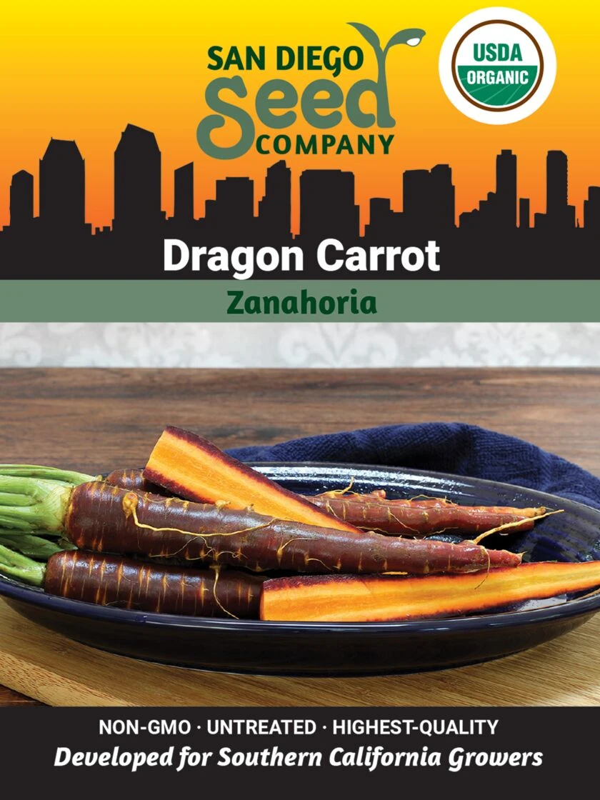 Carrot, Dragon Organic Seeds 1 Carrot, Dragon Organic Seeds