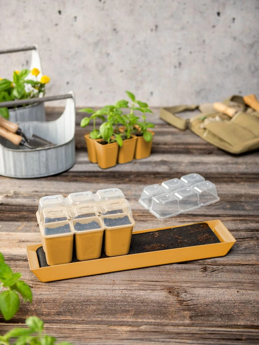 Gardener's Best® Humidity Dome, Set Of 2 3 Gardener's Best® Humidity Dome, Set Of 2 - Image 3