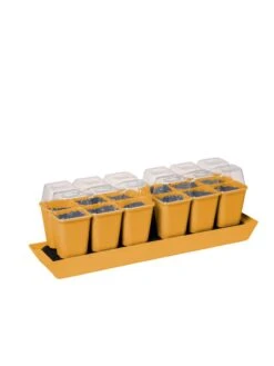 Gardener's Best® Humidity Dome, Set Of 2 7 Gardener's Best® Humidity Dome, Set Of 2 -Outdoor Zone 3 4 crop 8613067 5879 tif