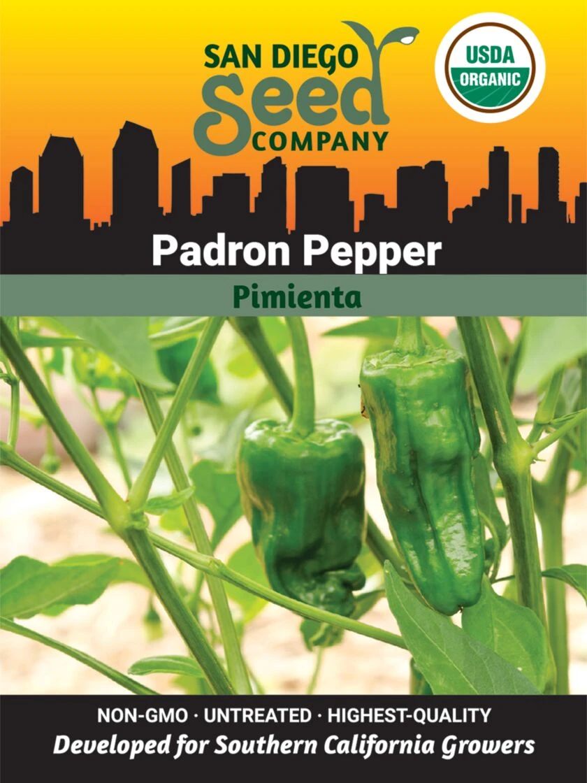 Pepper, Padron Organic Seeds 1 Pepper, Padron Organic Seeds