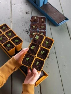 Gardener's Best® XL Seed Starting Kit -Outdoor Zone 40 135 6186