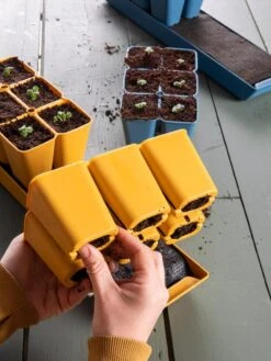 Gardener's Best® XL Seed Starting Kit -Outdoor Zone 40 135 6188