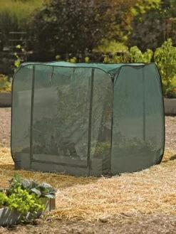 Pest Control Pop-Ups -Outdoor Zone 8587859 026 tif