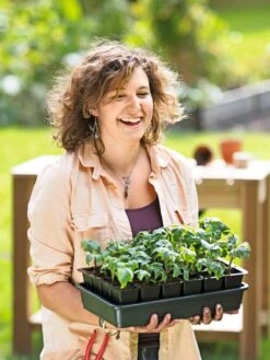 Growease Seed Starter Kit 16 Growease Seed Starter Kit -Outdoor Zone 8589987 0446 tif