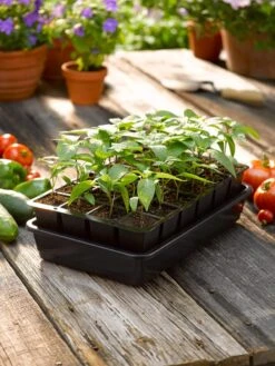 Growease Seed Starter Kit 14 Growease Seed Starter Kit -Outdoor Zone 8589987 1148 tif