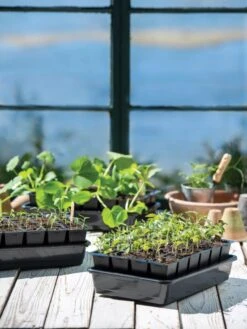 Growease Seed Starter Kit 19 Growease Seed Starter Kit -Outdoor Zone 8589987 7871 tif