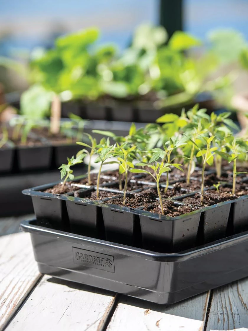 Growease Seed Starter Kit 2 Growease Seed Starter Kit - Image 2