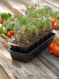 Growease Seed Starter Kit 13 Growease Seed Starter Kit -Outdoor Zone 8589988 1056 tif