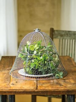Chicken Wire Cloche -Outdoor Zone 8590210 1 tif