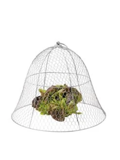 Chicken Wire Cloche -Outdoor Zone 8590210 675 tif