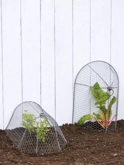 3-in-1 Chicken Wire Cloche -Outdoor Zone 8592117 0188 tif