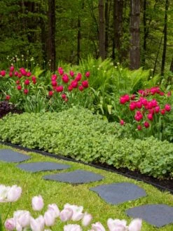 Recycled Rubber Flagstone Stepping Stone -Outdoor Zone 8594282 518 tif