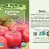 Brandywine Tomato Organic Seeds