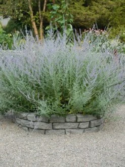 Rock Lock Interlocking Garden System, Curved Sets -Outdoor Zone 8598737 04V tif