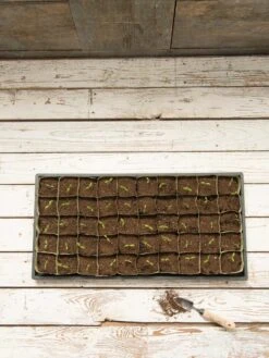 Paper Pots, 50 Cell 10 Paper Pots, 50 Cell -Outdoor Zone 8599830 18489 tif