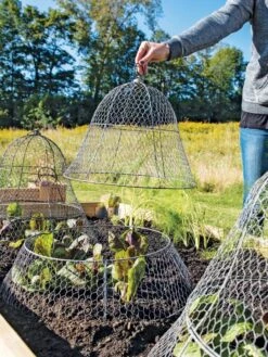 Chicken Wire Cloche With Extension -Outdoor Zone 8600116 0604 3 4