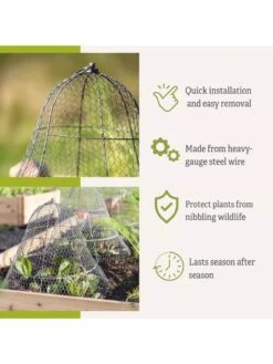 Chicken Wire Cloche With Extension -Outdoor Zone 8600116 3