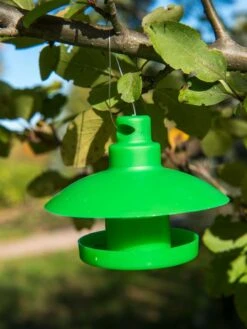 Slug And Snail Traps, Set Of 3 -Outdoor Zone 8600120 1792