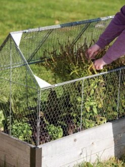 Chicken Wire Crop Coop -Outdoor Zone 8609080 0187