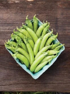 Family Garden Organic Seed Collection, Set Of 7 -Outdoor Zone 8610262 cascadia peas 01V tif