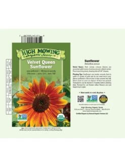 Velvet Queen Sunflower Organic Seeds 5 Velvet Queen Sunflower Organic Seeds -Outdoor Zone 8610362 01v