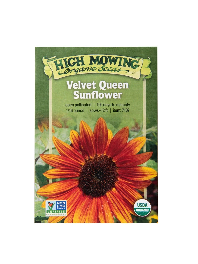 Velvet Queen Sunflower Organic Seeds 1 Velvet Queen Sunflower Organic Seeds