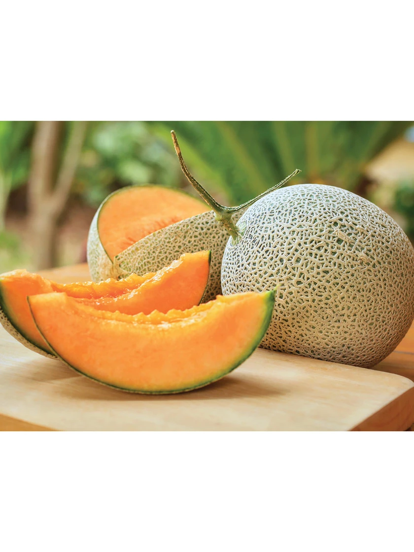 Hales Best Cantaloupe Organic Seeds 2 Hales Best Cantaloupe Organic Seeds - Image 2