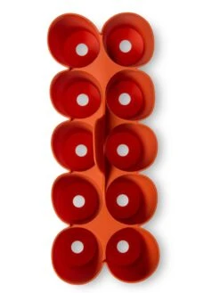 Sili-Seedlings® Seedling Tray, 10-Cell 10 Sili-Seedlings® Seedling Tray, 10-Cell -Outdoor Zone 8611886 3821 tif