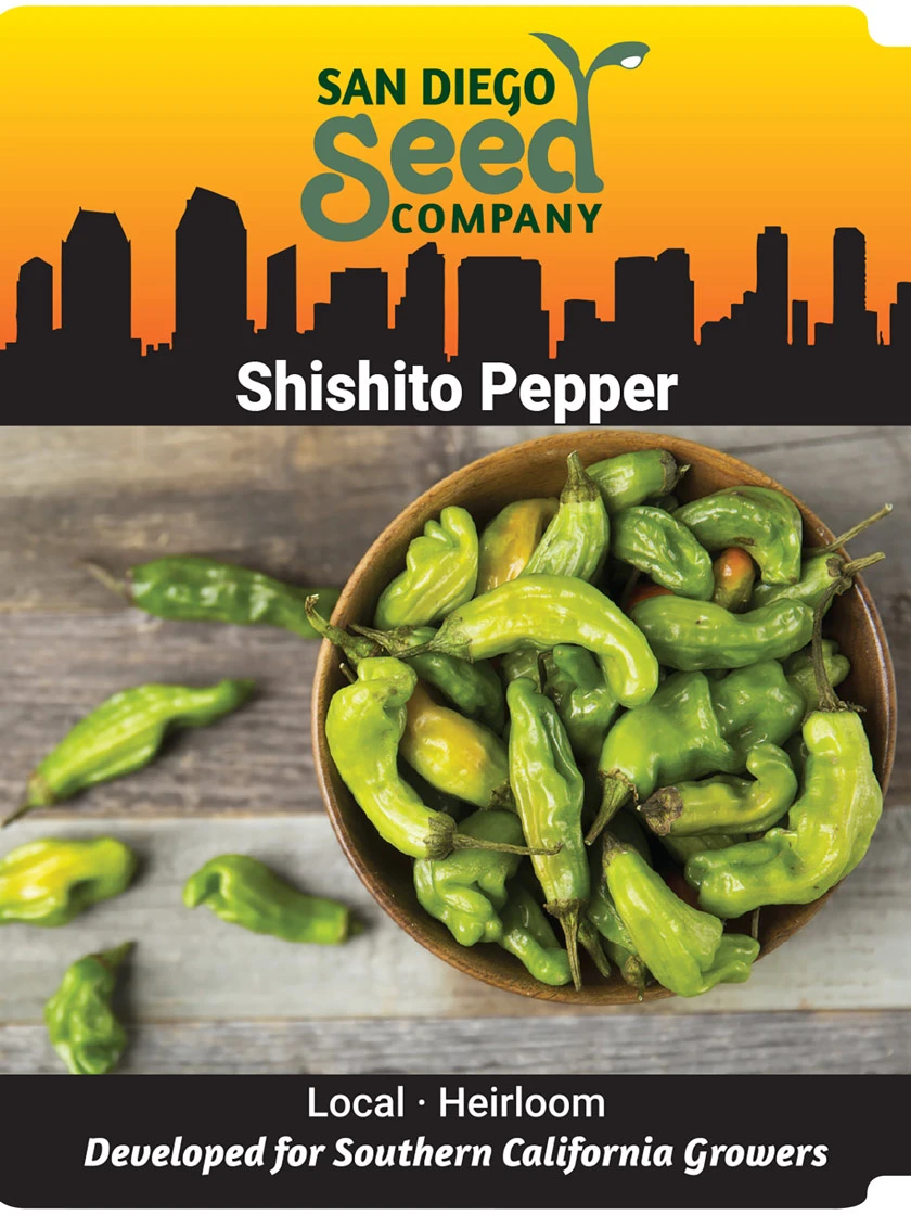Shishito Pepper Organic Seeds 2 Shishito Pepper Organic Seeds - Image 2