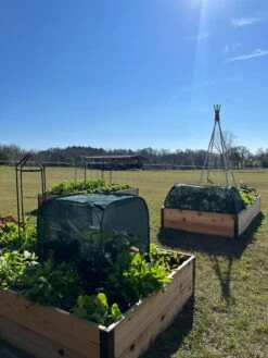 Pest Control Pop-Ups -Outdoor Zone 8611989 05 tif