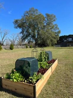 Pest Control Pop-Ups -Outdoor Zone 8611989 08 tif