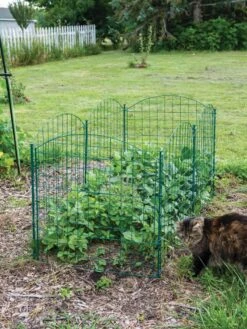 6 Panel Critter Fence With Gate -Outdoor Zone 8612967 2570 tif