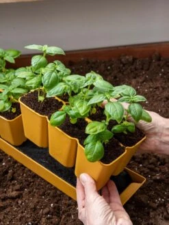 Gardener's Best® XL 6-Cell Planting Tray, Set Of 4 -Outdoor Zone 8613031 6300