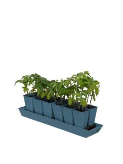 Gardener's Best® XL Seed Starting Kit -Outdoor Zone 8613066 0029