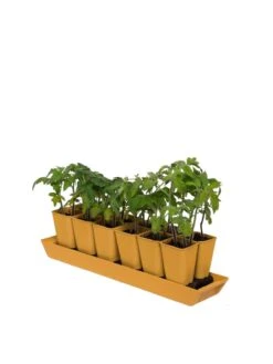 Gardener's Best® XL Seed Starting Kit -Outdoor Zone 8613066 1029