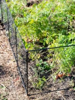Chicken Wire Critter Fence, 16" High -Outdoor Zone 8613249 0309