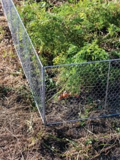 Chicken Wire Critter Fence, 16" High -Outdoor Zone 8613249 0358