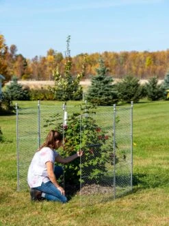 Tall Chicken Wire Critter Fence With Gate -Outdoor Zone 8613260 0044