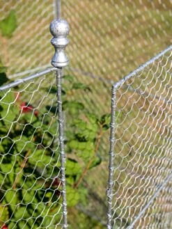 Tall Chicken Wire Critter Fence With Gate -Outdoor Zone 8613260 0083