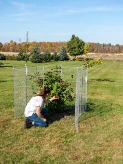 Tall Chicken Wire Critter Fence Extension Panel, Set Of 2 -Outdoor Zone 8613260 0090