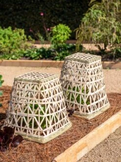 Bamboo Cloche, Set Of 2 -Outdoor Zone 8613351 0150 bamboo cloche set of 2