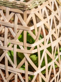 Bamboo Cloche, Set Of 2 -Outdoor Zone 8613351 0153