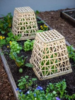 Bamboo Cloche, Set Of 2 -Outdoor Zone 8613351 6766