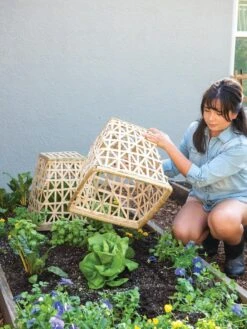 Bamboo Cloche, Set Of 2 -Outdoor Zone 8613351 6862