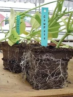 2-3/4" Square Cowpots 6-Packs, Set Of 4 -Outdoor Zone GS37034 05