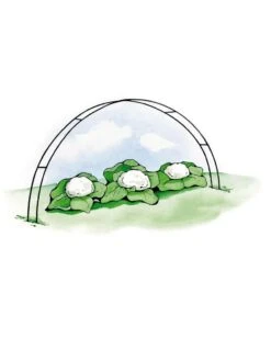 Super Hoops, Set Of 6 -Outdoor Zone GS39423 02S 3 4